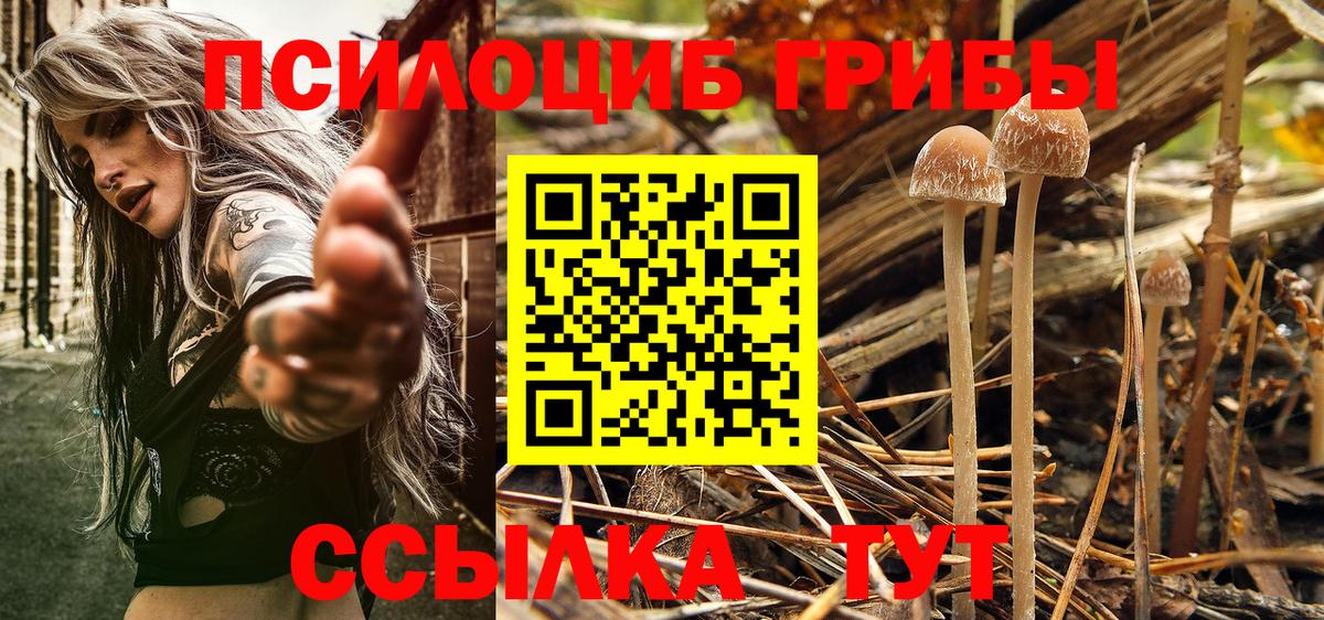 Галлюциногенные грибы Cubensis Отрадное